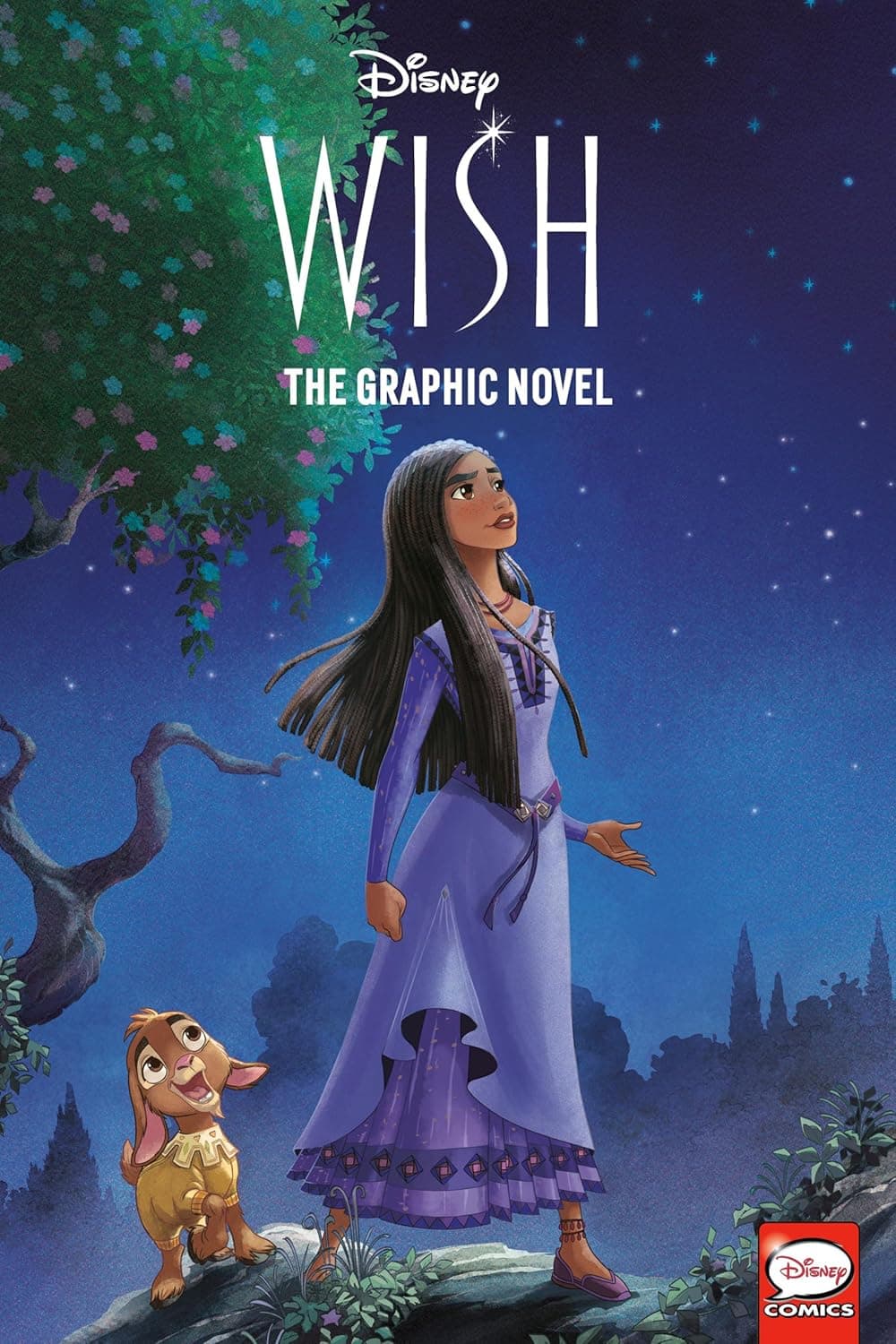 Cover of Disney Wish (Disney Comics)